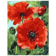 Картина-открытка по номерам Molly 15х20 см Маки