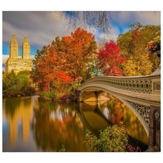 Алмазная мозаика Molly 30х30 см Парк в Нью-Йорке