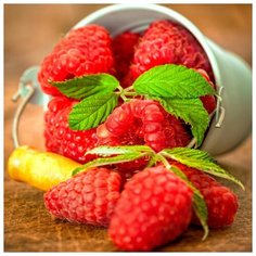 Алмазная мозаика Molly 30х30 см Ягода малина