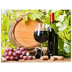 Алмазная мозаика с нанесенной рамкой 40х50 см Molly Фрукты и вино