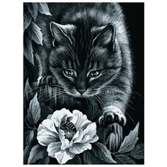 Картина по номерам "Ночные приключения", 30x40 см Белоснежка