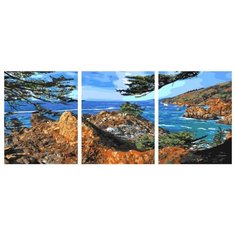 Картина по номерам ТРИПТИХ Paintboy PX 5280 Скалистные берега 3 шт. 40x50 см