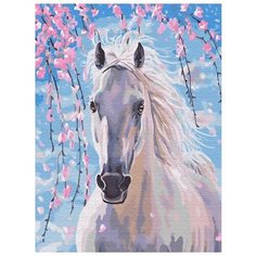 Картина по номерам "Белогривая лошадка", 30x40 см Цветной