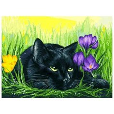 Картина по номерам Белоснежка "Кот и крокусы", 30x40 см
