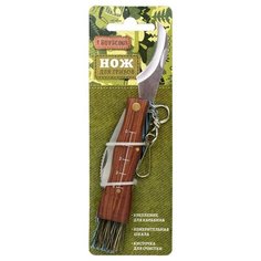 BOYSCOUT Нож грибника / 144 / 24 (61922)