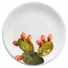 Nuova Cer Тарелка десертная Cactus