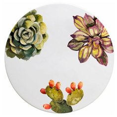 Nuova Cer Тортовница Cactus