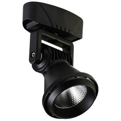 Спот Favourite Projector 1766-1U