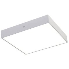 Светодиодный светильник Favourite Flashled 2066-30C, 22.5 х 22.5 см