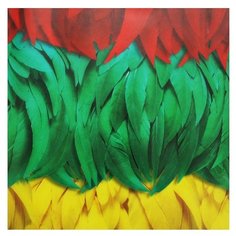 Бумага folia 50,5x70 см, 1 лист, 84105 "Federn (Перья)" красный/зеленый/желтый