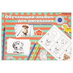 LAMARK28411 Альбом для рисования Обучающий 24л. на склейке Домашние животные, 100г/м