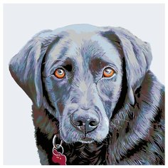 Лабрадор Раскраска картина по номерам на холсте A232 40х40