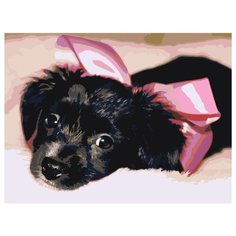 Черный щенок подарок Раскраска картина по номерам на холсте ets485-3040 30х40