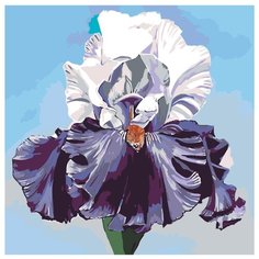 Пышный ирис Раскраска по номерам на холсте Живопись по номерам F57 40х40