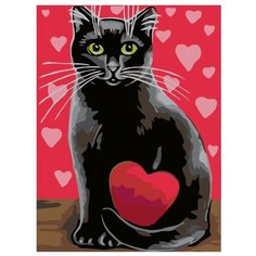 Валентинка Раскраска картина по номерам на холсте A135 30х40