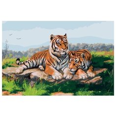Пара тигров Раскраска картина по номерам на холсте KRYM-Z004 40х60
