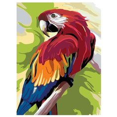 Говорящий попугай Раскраска по номерам на холсте Живопись по номерам A353 30х40