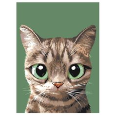 Зеленоглазик Раскраска по номерам на холсте Живопись по номерам A552 30х40