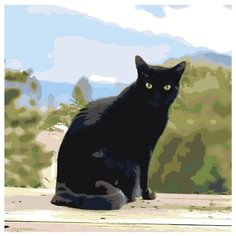 Черный кот Раскраска картина по номерам на холсте ETS294 40х40