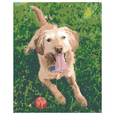 Пёс с мячиком Раскраска картина по номерам на холсте AMZN9915528 40х50