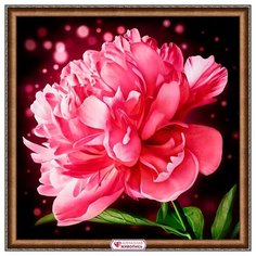 АЖ-1784 Картина стразами Сверкающий пион 25*25см Алмазная живопись