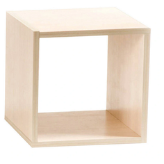 Полка вкладная Инсайд Д ДСП Магазин