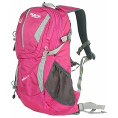 Рюкзак POLAR П1535 25, розовый