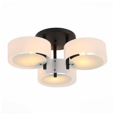 Потолочная люстра ST Luce Foresta SL483.402.03