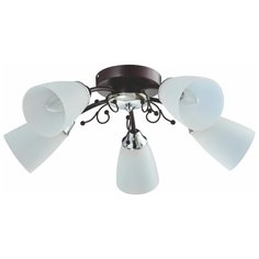 Люстра ENDO 5хE14х40W венге Powerlight