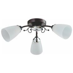 Люстра ENDO 3хE14х40W венге Powerlight