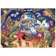 Пазлы 1000 деталей "Волшебные совы" Cobble Hill