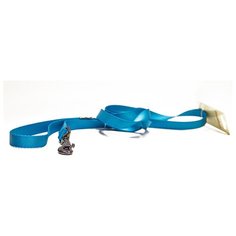 Поводок для собак GREAT&SMALL 20x2000мм нейлон Голубой