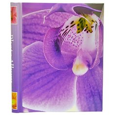 Фотоальбом Veld co 46267 10 "магнитных"листов 23X28см fleur-de-lis3