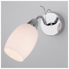 Бра со стеклянным плафоном Eurosvet 70036/1 хром