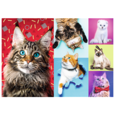 Пазлы 1000 деталей "Счастливые кошки" Trefl