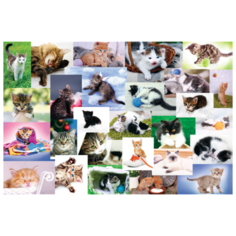 Пазлы 60 деталей "Кошачий мир" Trefl