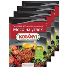 Приправа для гриля и шашлыка Мясо на углях, KOTANYI пакет 30 г (x4)