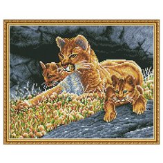 Алмазная мозаика с нанесенной рамкой Molly 40х50 см Самоцветы Урок наблюдательности