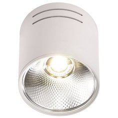 Светильник светодиодный потолочный спот LED 1*10W белый IL.0005.4015 Imex