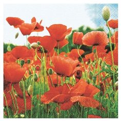Paper + Design GmbH tabletop / Салфетки бумажные Маковое поле 3-х слойные, 33х33, 20 шт/уп. Paper+Design