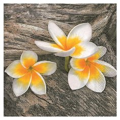 Paper + Design GmbH tabletop / Салфетки бумажные Цветок Франжипани 3-х слойные, 33х33, 20 шт/уп.ГЕРМАНИЯ Paper+Design