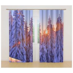 Фотошторы 18586, 145*260 см, 2 шт. Сирень