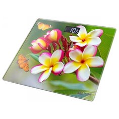 HOME ELEMENT HE-SC904 {new20} плюмерия весы напольные сенсор