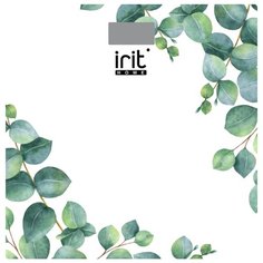 IR-7273 Весы напольные Irit