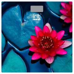 IR-7274 Весы напольные Irit