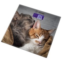 Весы напольные hottek ht-962-015(962-015)