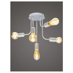 Люстра Северный свет Эврика 5-р. серебро