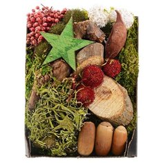 Декоративный набор ЛЕСНОЙ УЮТ (со звёздочкой), натуральные материалы, подарочная коробка, 14х20 см, Kaemingk 707399-звез