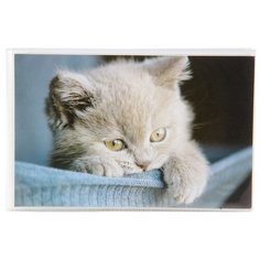 Фотоальбом Veld co 76965 36ф 10X15см, мягкая обложка
