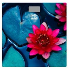 Весы Irit IR-7274 напольные